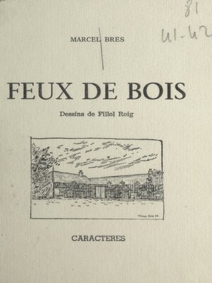 cover image of Feux de bois